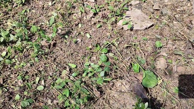 ПЕРВО-АПРЕЛЬСКАЯ шутка...