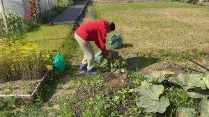 СХОДИЛИ В ПОЛИКЛИНИКУ// ВКУСНО ГОТОВИМ РЕЦЕПТ ТЕСТА// УБОРКА ОГОРОДА// ПОКРАСИЛА ВОЛОСЫ