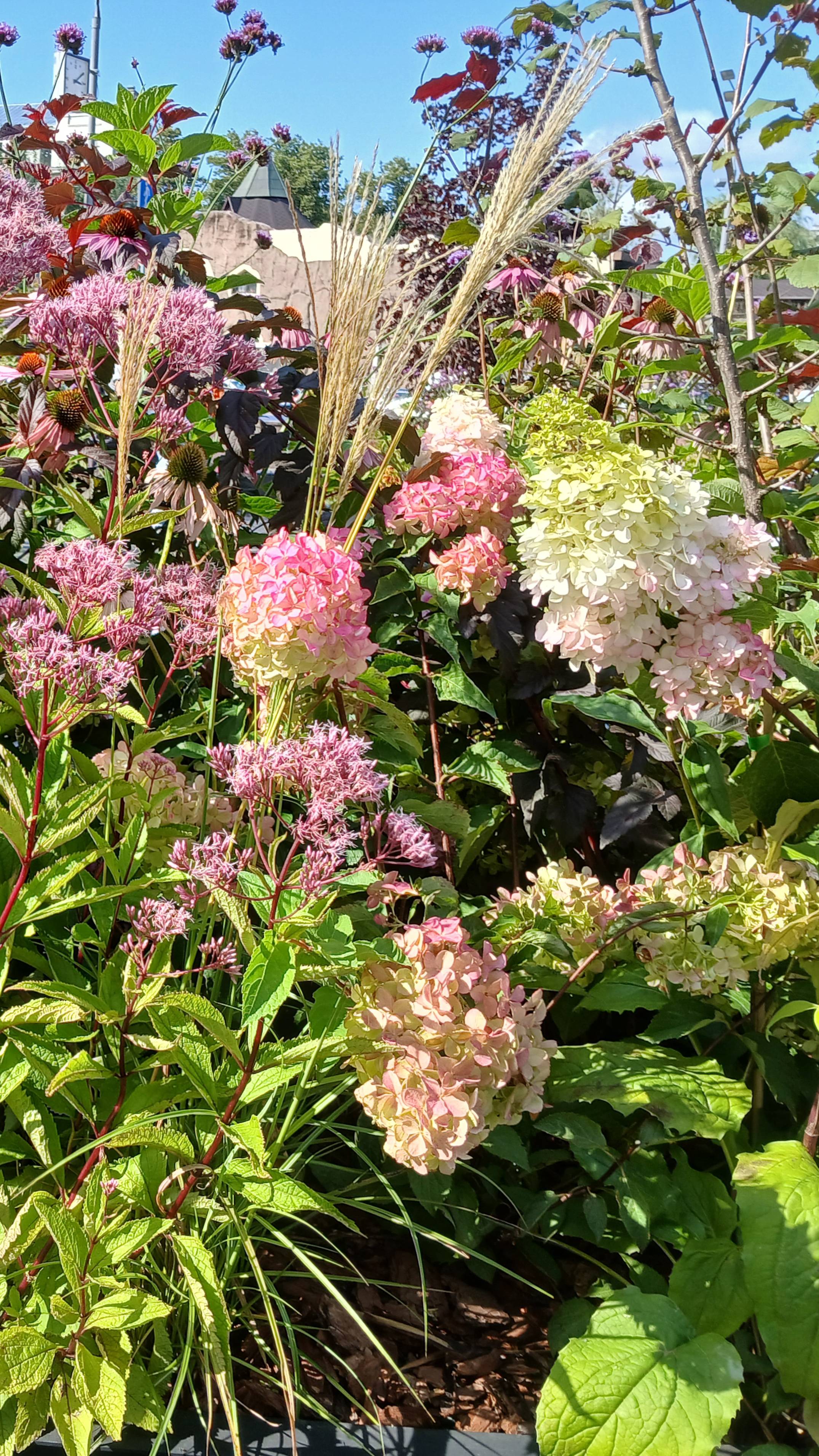 МУЗЫКА УЛИЦ. ЛЕТО. САКСОФОН смотреть онлайн