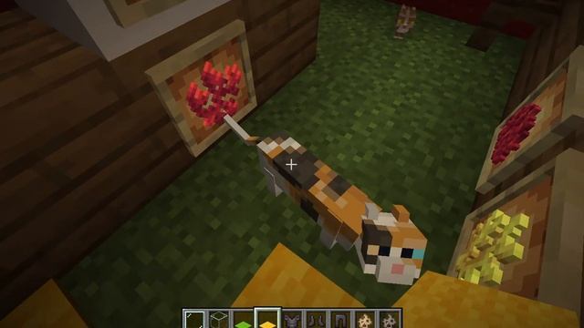 Minecraft pet shop смотреть онлайн