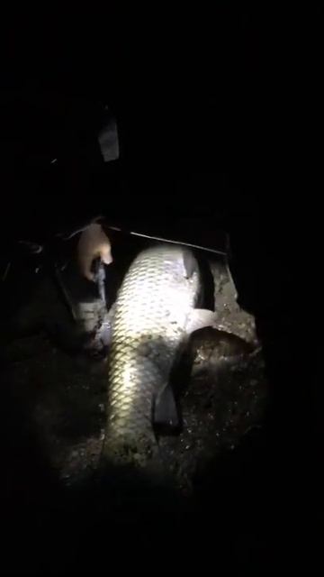 ночью на уфимке смотреть онлайн