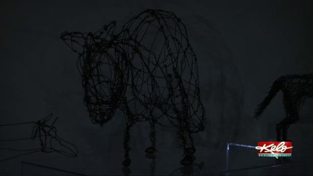 Washington Pavilion shining a light on young artists through shadow casting смотреть онлайн