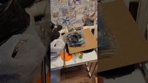 Мойка высокого давления Bort BHR-2300-Pro