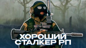 КАЧЕСТВЕННЫЙ И ИНТЕРЕСНЫЙ СТАЛКЕР РП В DAYZ! ОБЗОР STALKER RP "NO WAY OUT"