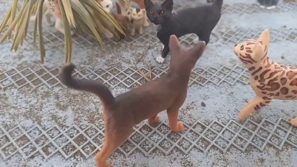 Коты Воители - Путь Древесного племени/ 4 часть