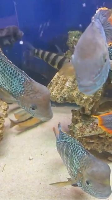 позитивчик🌊 смотреть онлайн