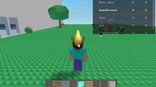 MINECRAFT STEVE SCRIPT played at Roblox FENCING game - see script link on comments смотреть онлайн