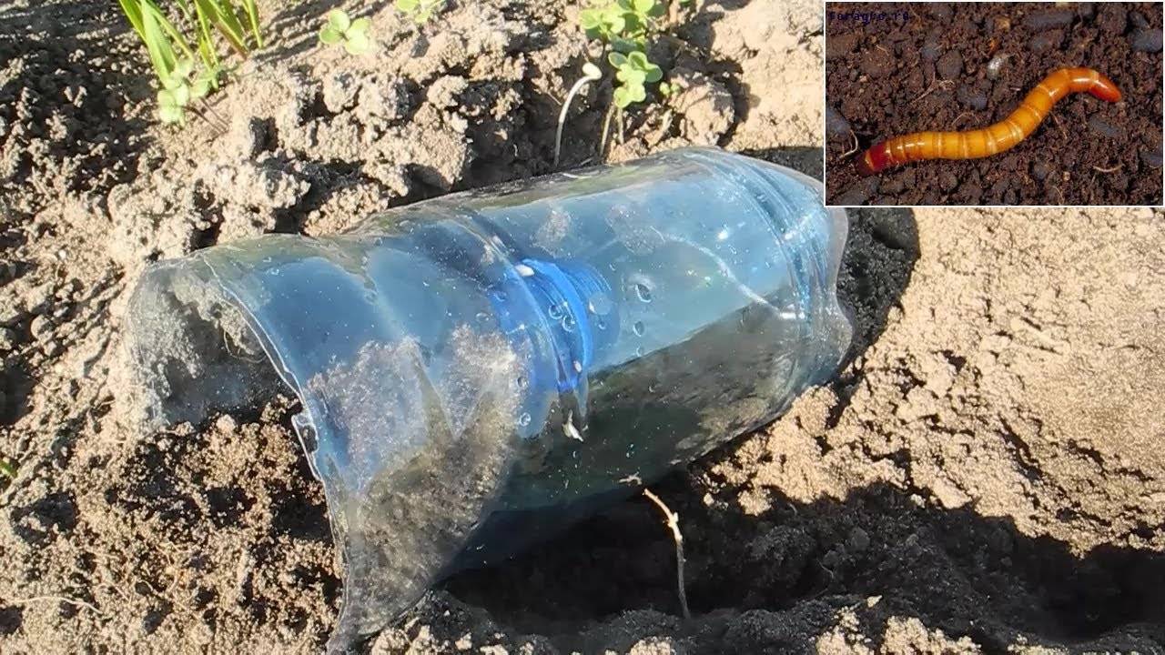 Простое устройство уничтожить весь проволочник на участке смотреть онлайн