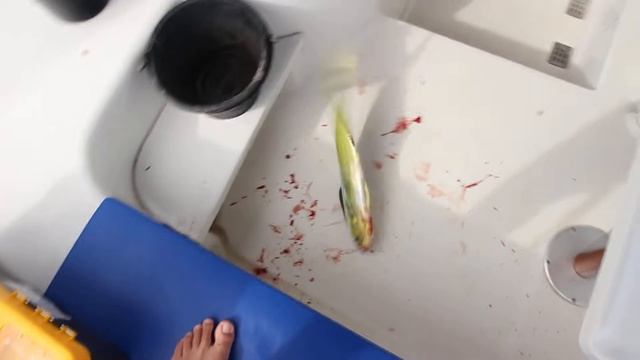 рыбалка по дороге на Ко Рача смотреть онлайн