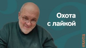 Охота с лайкой. Валерий Кузенков о породах лаек.