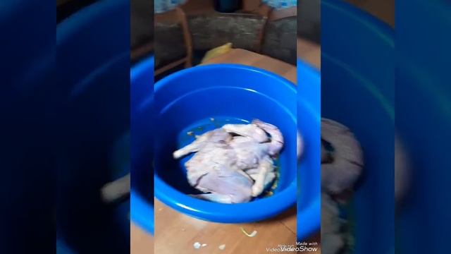 картошка с овощами и петух домашний маринованный пробуйте рекомендую 😋 смотреть онлайн