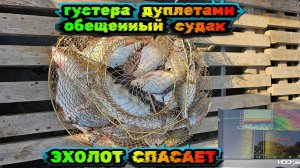 Нашел рыбу эхолотом) Трудовой судак) Густера ДУПЛЕТАМИ) весенний фидер в Астрахани