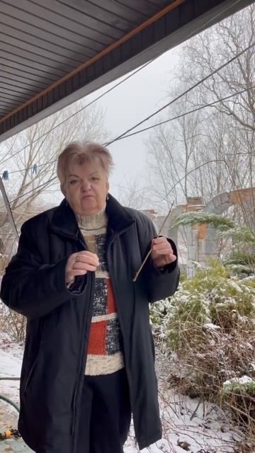 Черенок смородины (Как получить саженцы) #shorts смотреть онлайн