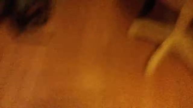 Пропала кошка Симка!!!