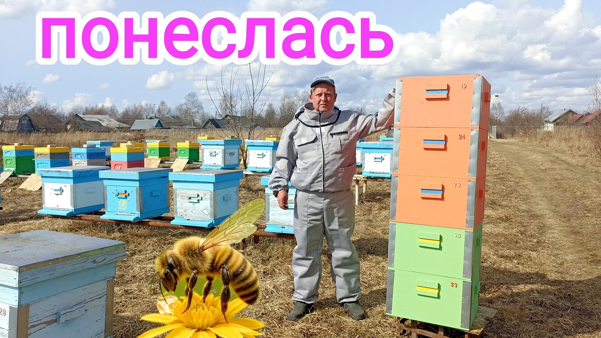 Весенняя ревизия пчёл на пасеке! Пчеловодство!