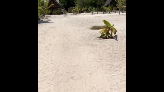 New Jambo Bungalows Paje Beach Zanzibar, Tanzania, Place To Be While You Are In Zanzibar