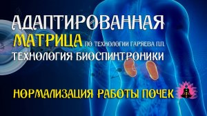 Нормализация работы почек 🎶 программа матрица по технологии Гаряева П.П ☀️ SoftRadio.ru