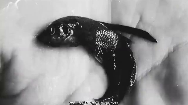 Loona/odd Eye Circle; Uncover Lyrics