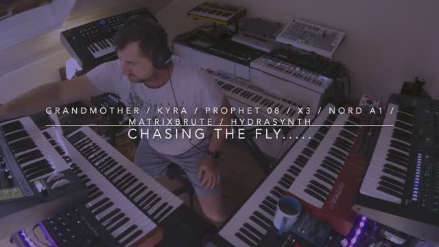 Chasing The Fly........ ( Grandmother, Prophet 08, Kyra, X3, Matrixbrute, Hydrasynth, Nord A1 )