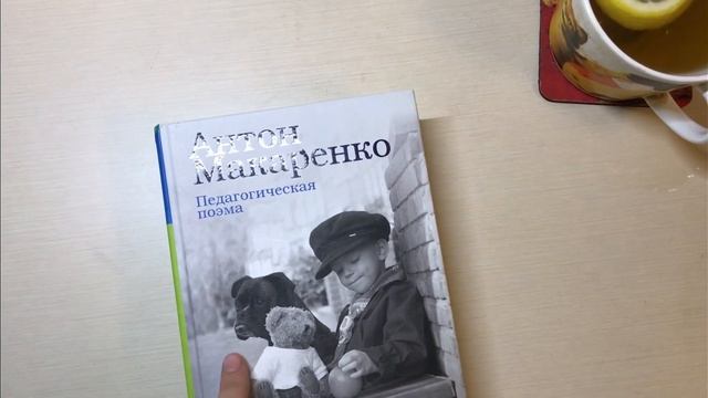vlog: деревня, насекомые, грибки и прочие страшные штуки смотреть онлайн