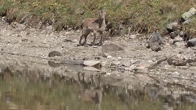 Bezen09 031000 1 смотреть онлайн