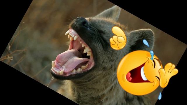 Разоблачение Златовласки! ШОК ЧТО МЫ ОБНАРУЖИЛИ В ЕЁ ТГ КАНАЛЕ!!!!!!!! смотреть онлайн