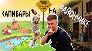 Завтрак с капибарами, а обед в опасном районе Буэнос Айрес