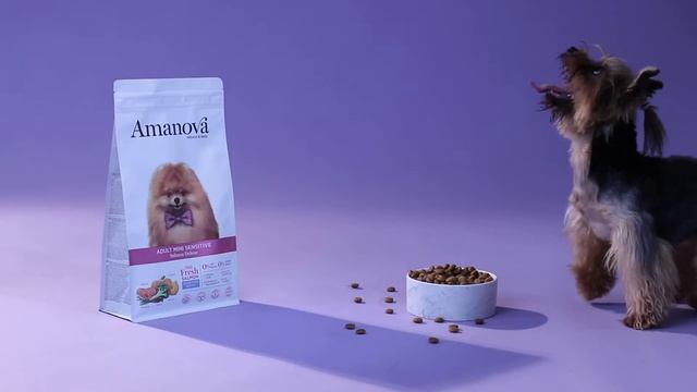 8413037331894 AMANOVA ADULT MINI SENSITIVE SALMON FRESCO PERRO 2KG Y 10KG смотреть онлайн