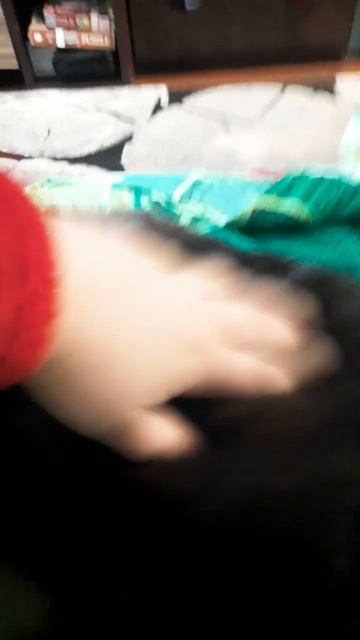 #котнакровате #котики #cat #кошка #кет смотреть онлайн