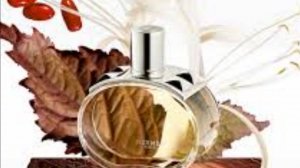 Обзор HERMES BARENIA.