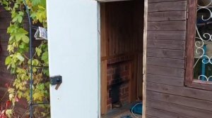 Чем покрыть древесину снаружи, потрясающий способ обновления фасада старой бани,дома.#какобновить