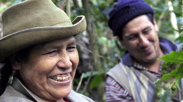Organic Superfoods: Goldenberries from Peru! Essential Living Foods Source Verified смотреть онлайн