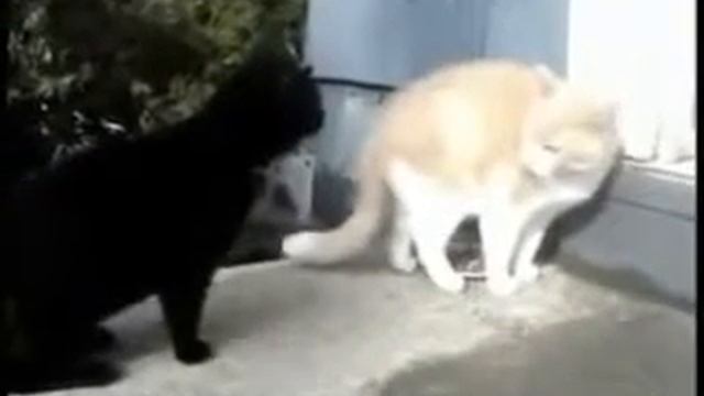 Держись, Валера смотреть онлайн