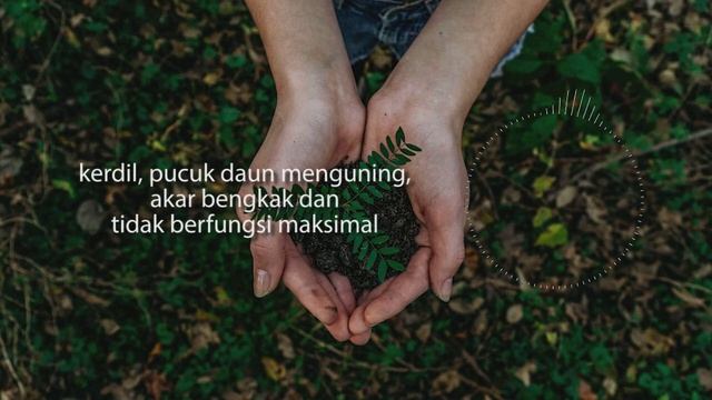 Hama Penyakit Tanaman Pangan & Hortikultura dalam Tanah (HPT 4) - Podcast Eps. 16 смотреть онлайн
