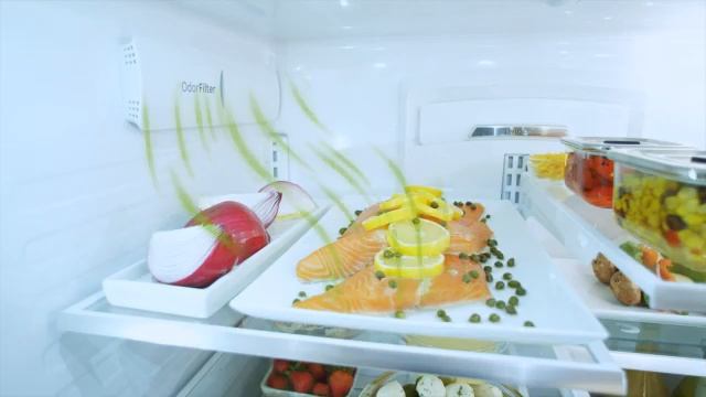 GE Cafe Series French-Door Refrigerator Odor Filter смотреть онлайн