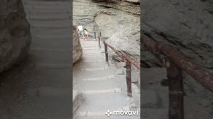 1000128594.mp4