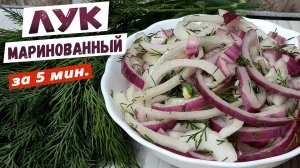 Маринованный ЛУК рецепт за 5 минут. Как мариновать лук в уксусе к ШАШЛЫКУ