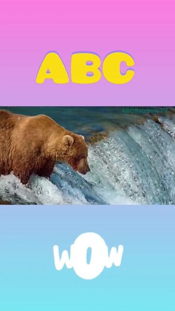 Abc Animals Alphabet | abc zoo | Abc animals song #shorts #abc #abcanimals #atoz #alphabet смотреть онлайн