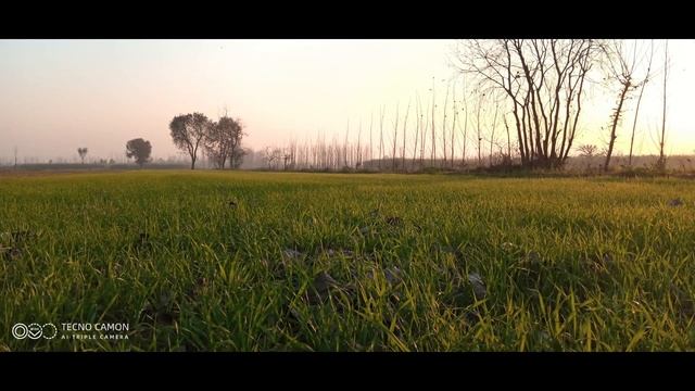 Tecno Camon 12 Air Camera Full Detailed Review - Worst Camera? | The Rax Tech смотреть онлайн