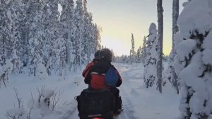 ЭМОЦИИ ПЕРЕПОЛНЯЮТ Что за МЕТСОЛА?! Сугроб в лицо В лес на СНЕГОХОДЕ