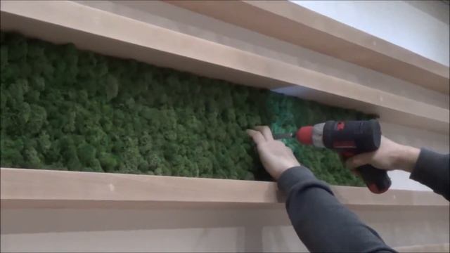 Озеленення ресторану стабілізованими рослинами смотреть онлайн