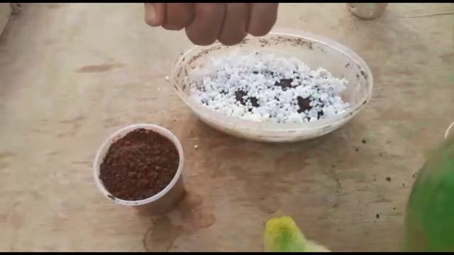 free perlite at home / Polystyrene - foam recycling смотреть онлайн