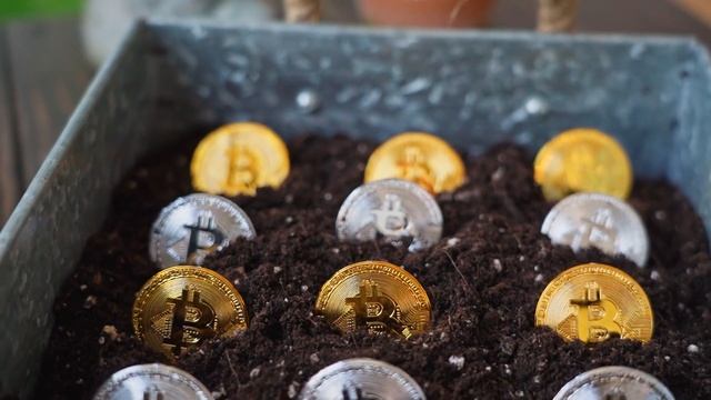 Crypto broker vs exchange: The key distinctions | XCritical смотреть онлайн