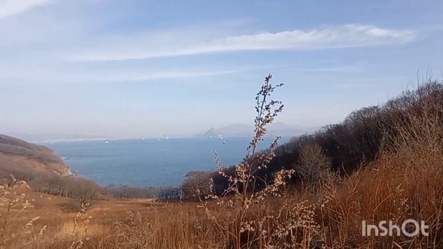 Прогулялись в карьер на Лесной смотреть онлайн