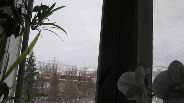 Круги смотреть онлайн