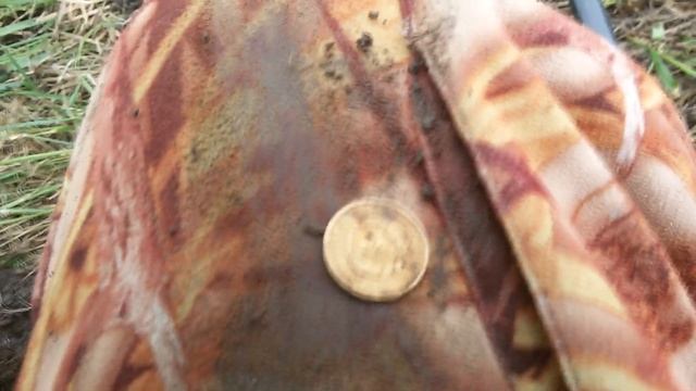 Поиск клада.  Нашли 200 монет.  Серебро, чешуя. Часть 1