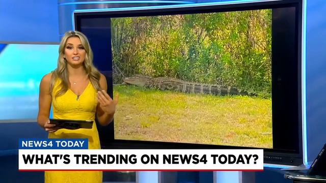 A very hangry alligator and a 4-year-old with some SERIOUS soccer skills! смотреть онлайн