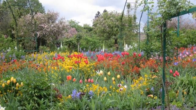 Giverny смотреть онлайн