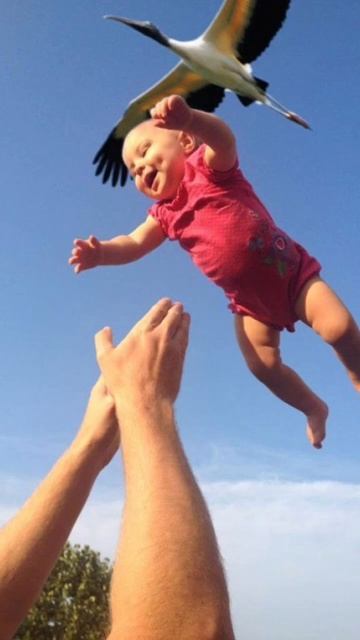 Perfectly timed Photos pt1📸#shorts