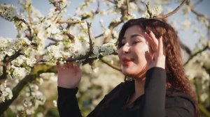 гр. Элит - Цийи свас +7 988 648-78-27